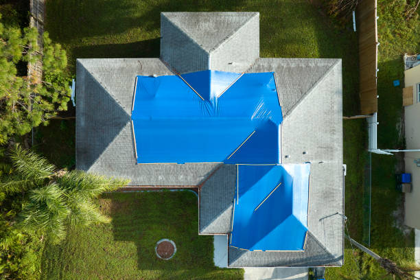 Skylights in Belle Rose, LA