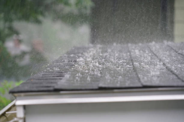 Best Roof Installation  in Belle Rose, LA