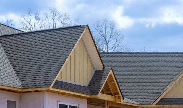 Best Roof Ventilation Installation  in Belle Rose, LA