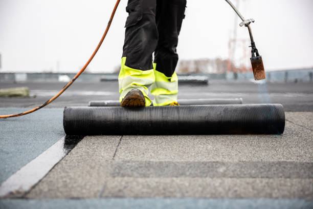 Best Roof Insulation Installation  in Belle Rose, LA