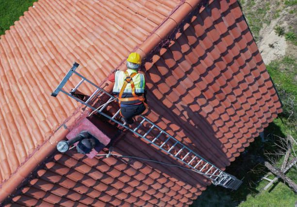 Best Sheet Metal Roofing  in Belle Rose, LA