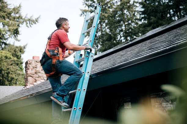 Best Skylight Installation and Repair  in Belle Rose, LA