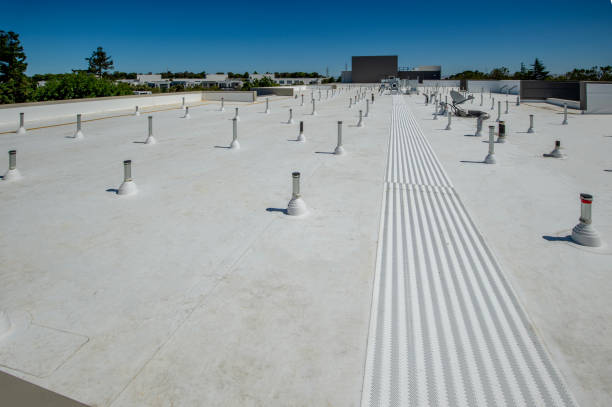 Professional Roofing Services in Belle Rose, LA